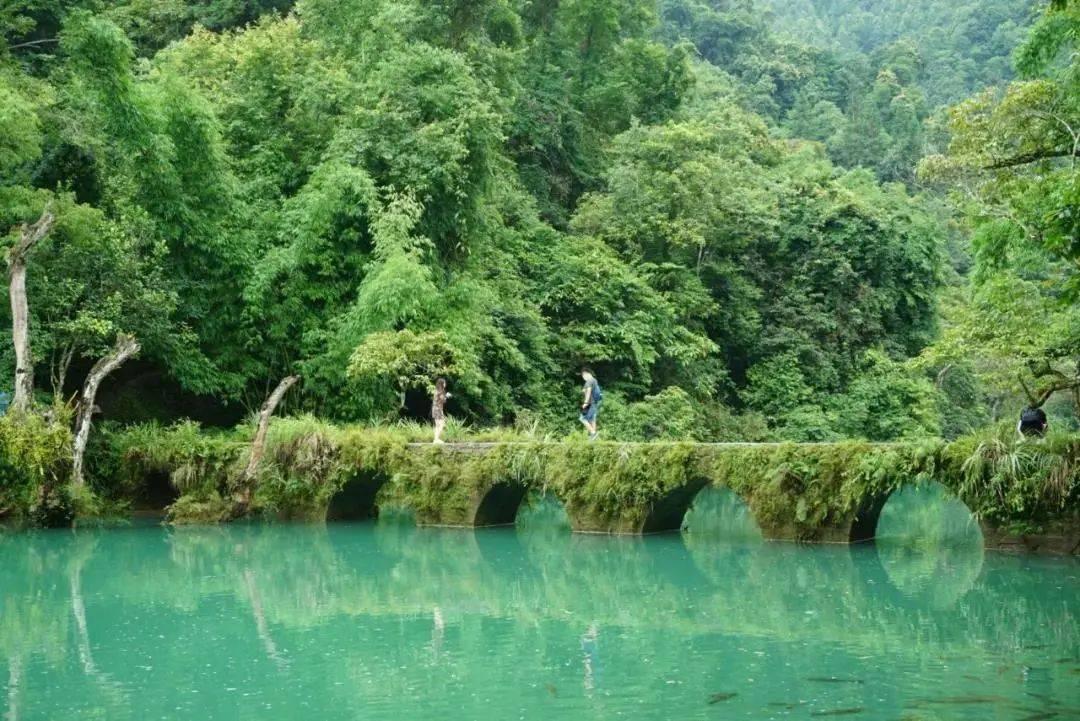 逃离天鹅森林